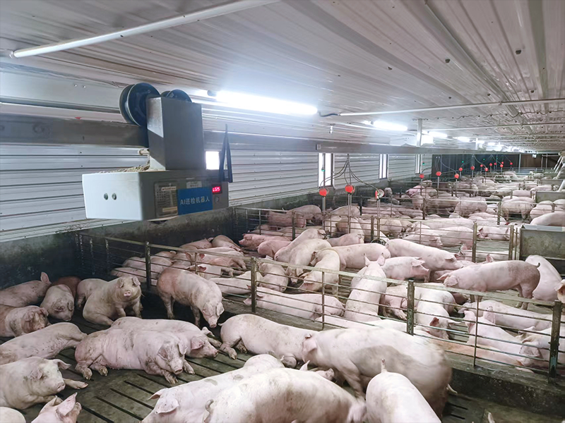 AI投标数字员工案例